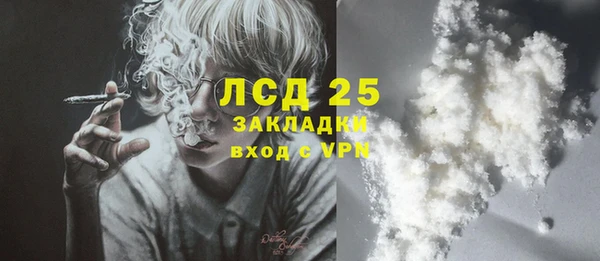 сатива Волоколамск