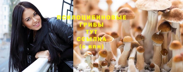 скорость Волосово