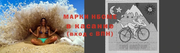 сатива Волоколамск