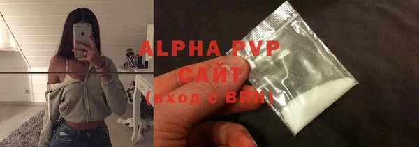 сатива Волоколамск