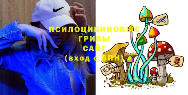 прущие грибы Верхний Тагил