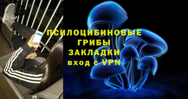 спиды Володарск