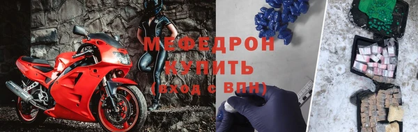 сатива Волоколамск