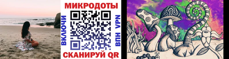 где продают   Оханск  Галлюциногенные грибы Cubensis 